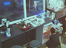 In the Blood Wars Laboratory