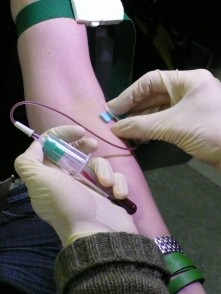 Winner's Blood